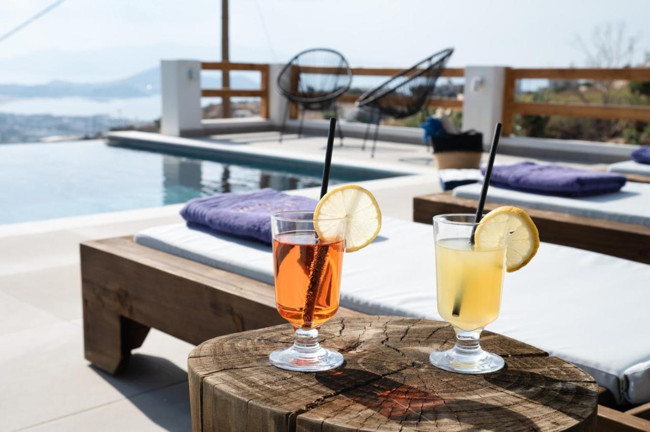 Naxos Skyline Deluxe Villas Agkidia Bagian luar foto
